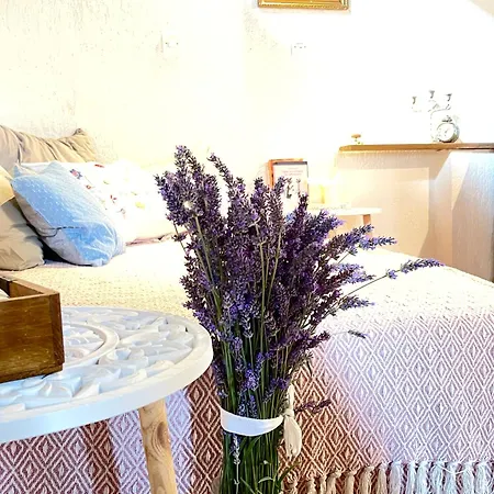 Holiday home Art Galija Holiday